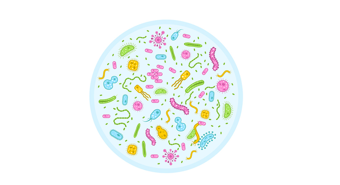 Course banner image